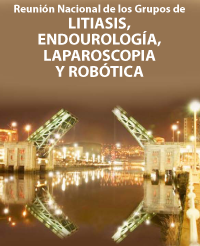 XXV Reunión Nacional de los Grupos de Litiasis y de Endourología, Laparoscopia y Robótica